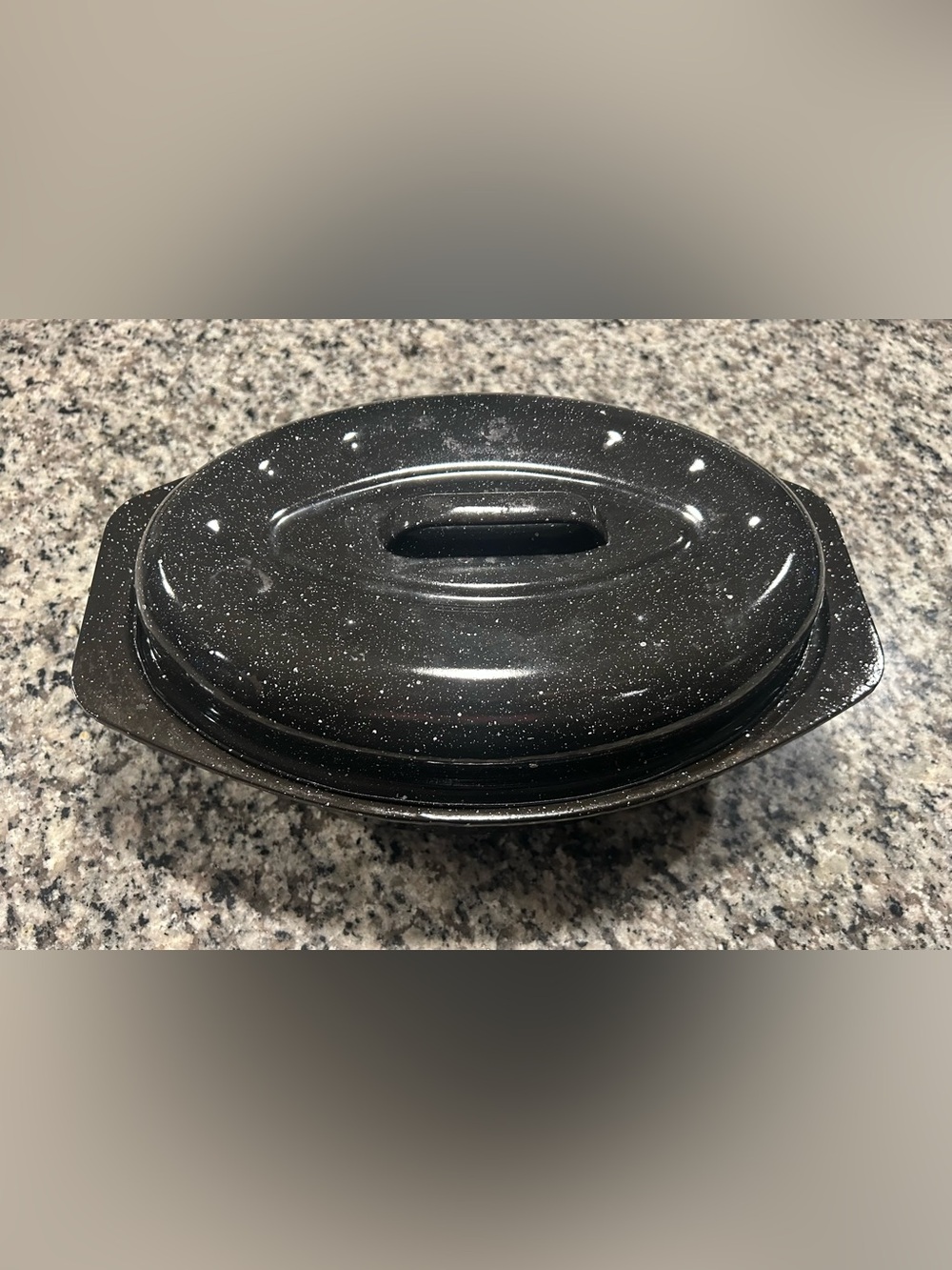 Vintage Enamel Roasting Pan w Lid Black Speckled - 6 qt